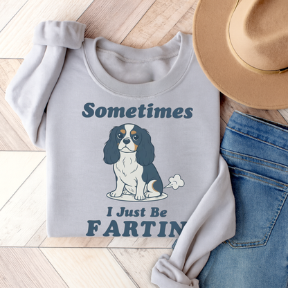 Tricolor Cavalier Fartin Sweatshirt Ash