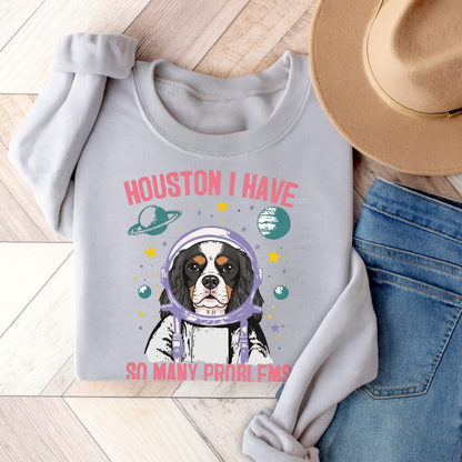 Tricolor Cavalier Houston Space Sweatshirt Ash