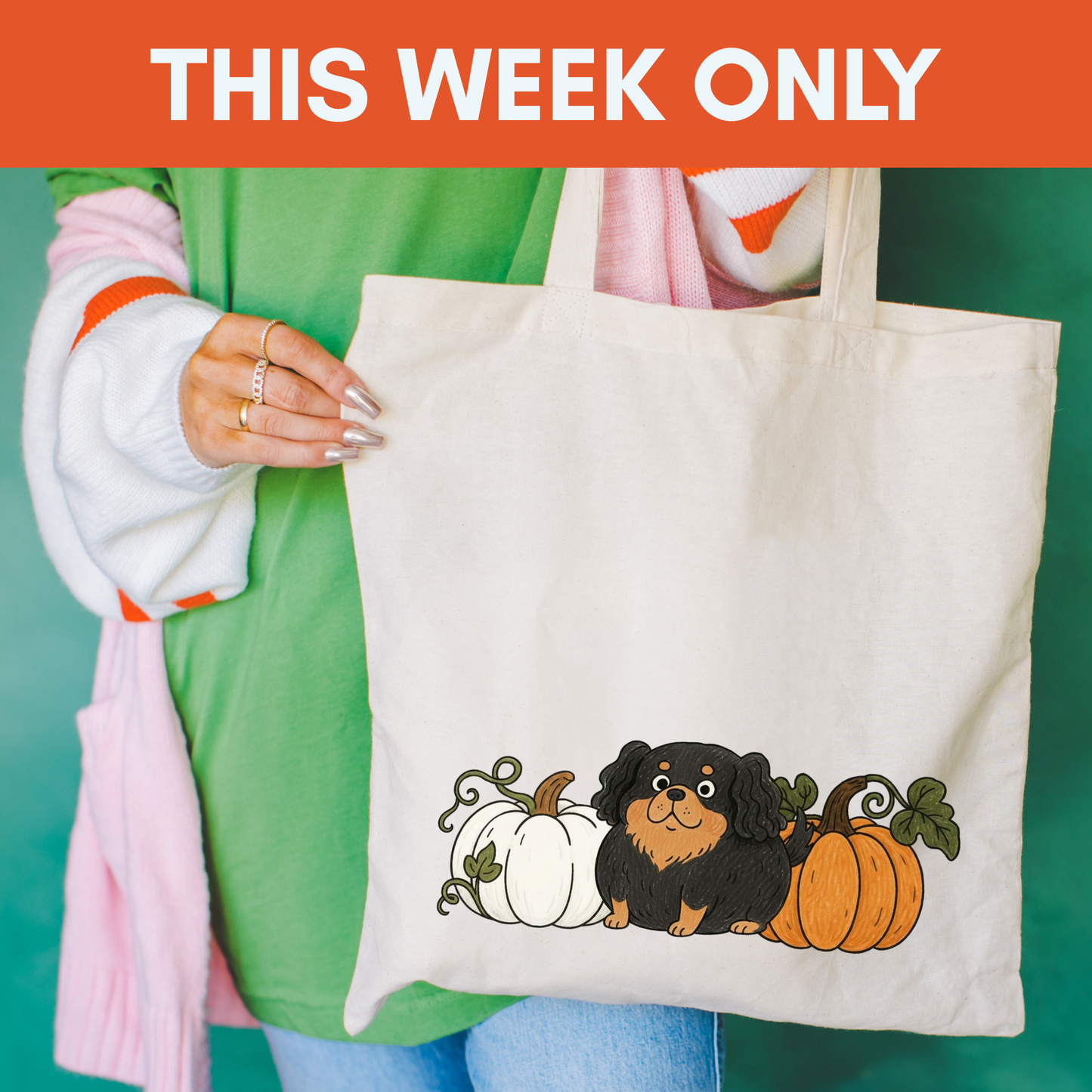 Black Tan Cavalier Pupkin Tote Bag Natural 15" x 16"