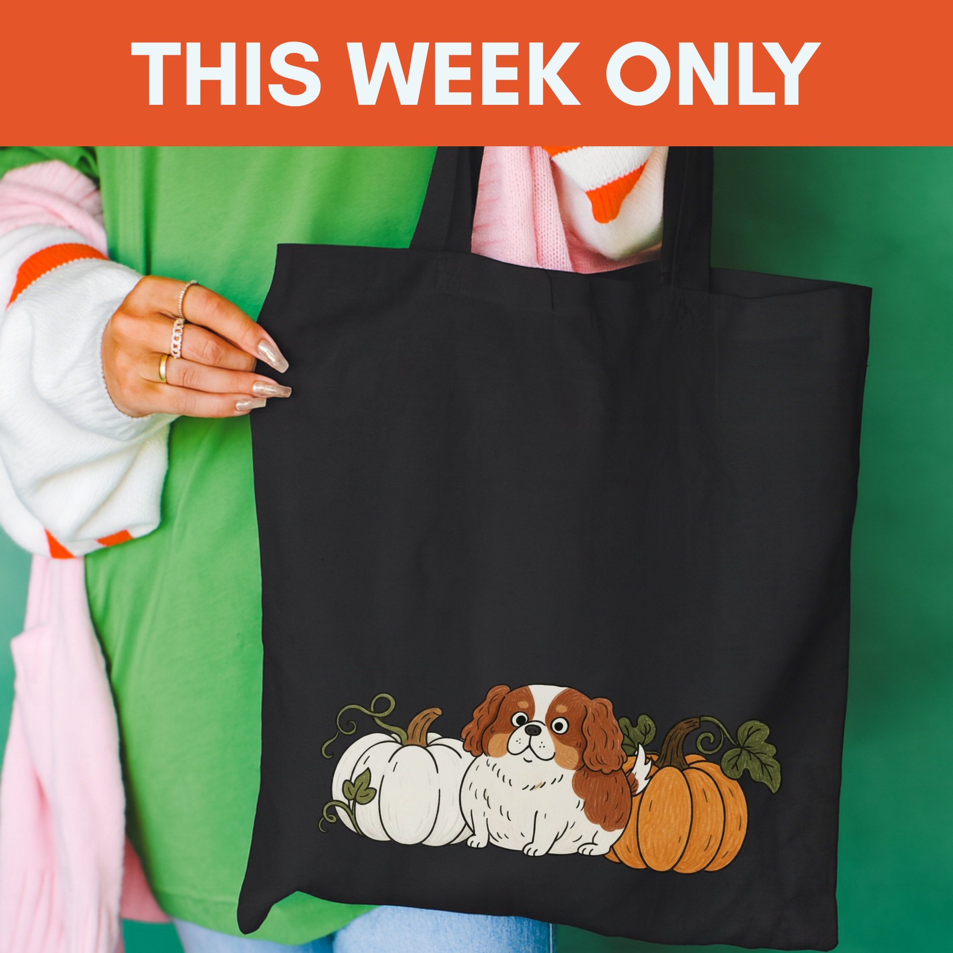 Blenheim Cavalier Pupkin Tote Bag Black 15" x 16"