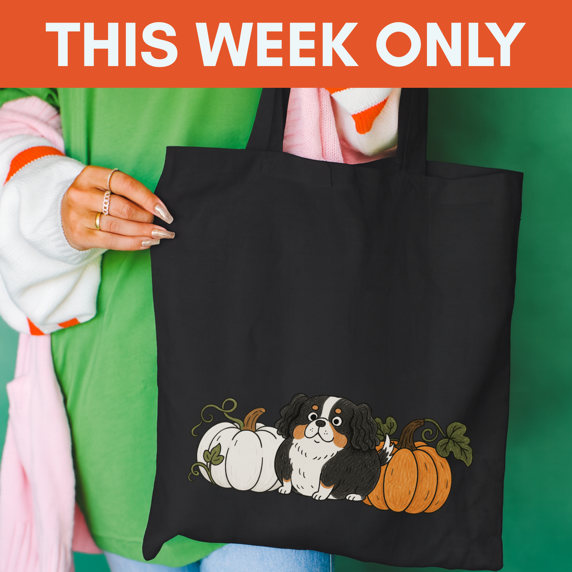 Tricolor Cavalier Pupkin Tote Bag Black 15" x 16"