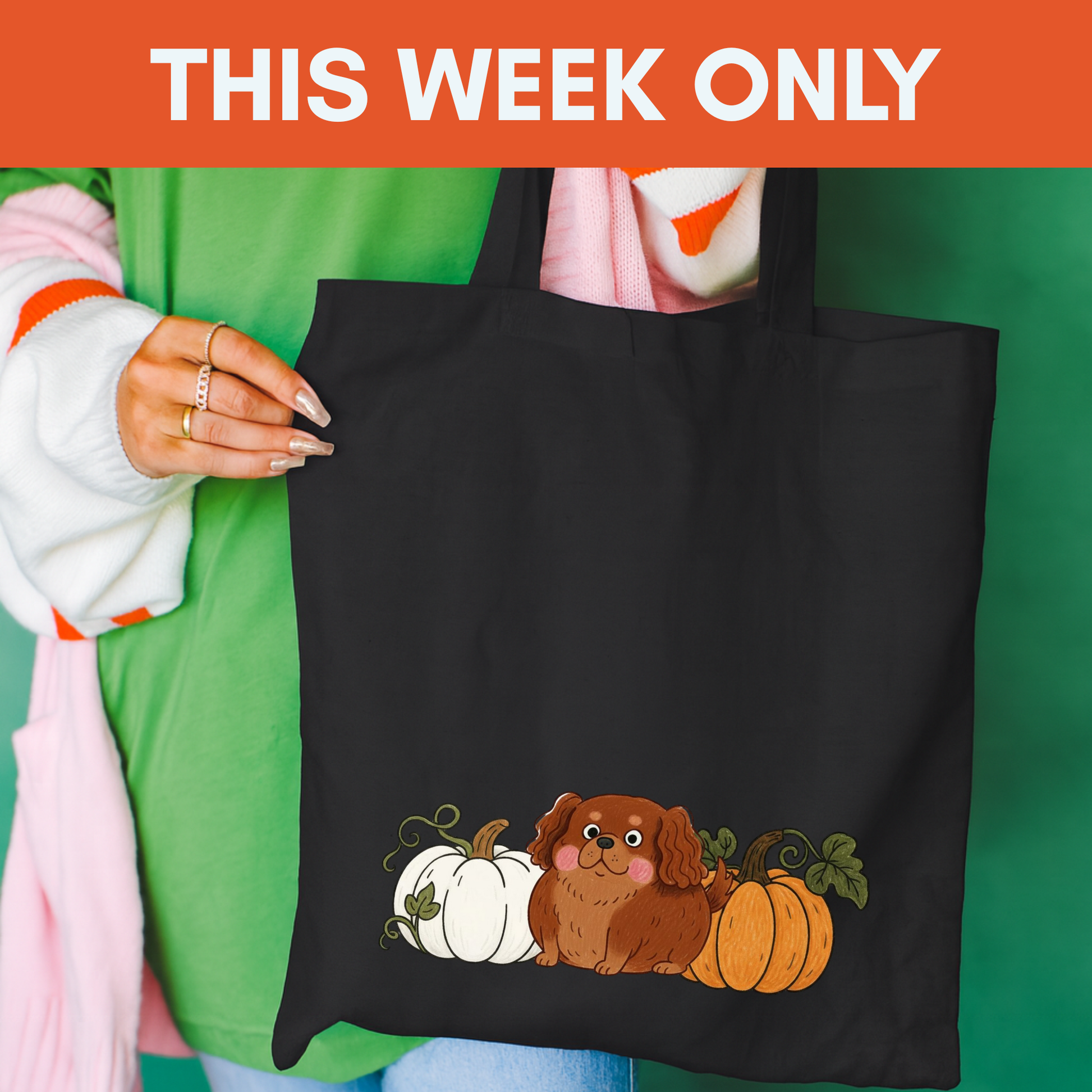 Ruby Cavalier King Charles Pupkin Tote Bag Black 15" x 16"