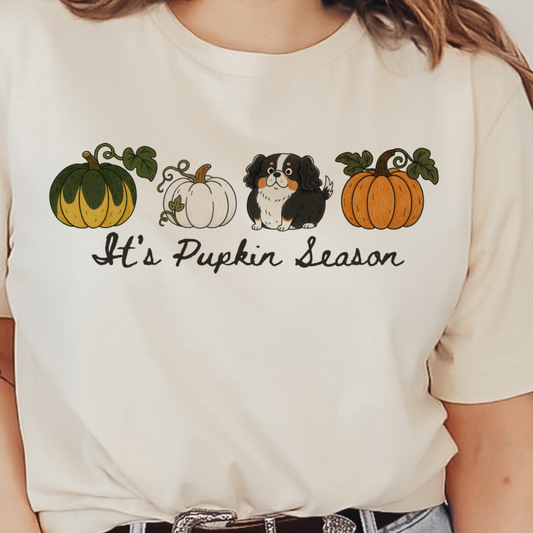 TShirt of the Month Club