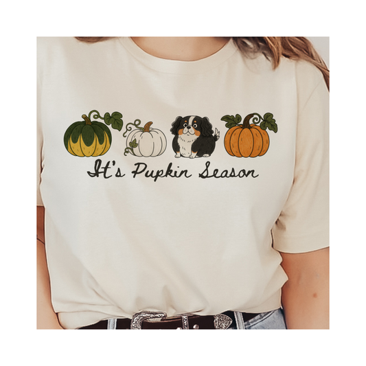 TShirt of the Month Club