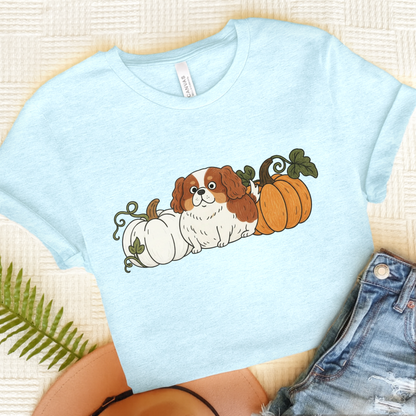 Blenheim Cavalier Pupkin Unisex Tshirt Heather Ice Blue