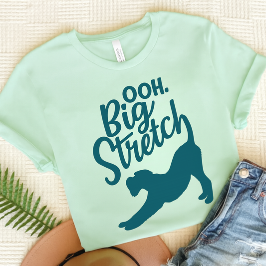 Airedale Terrier Big Stretch TShirt Heather Mint