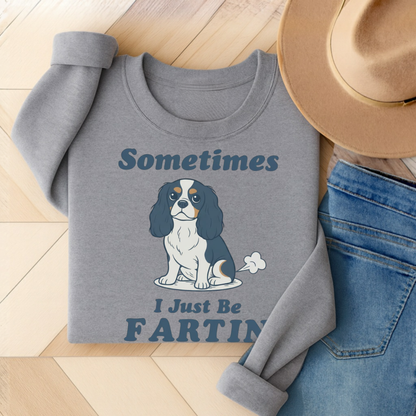 Tricolor Cavalier Fartin Sweatshirt Sport Grey