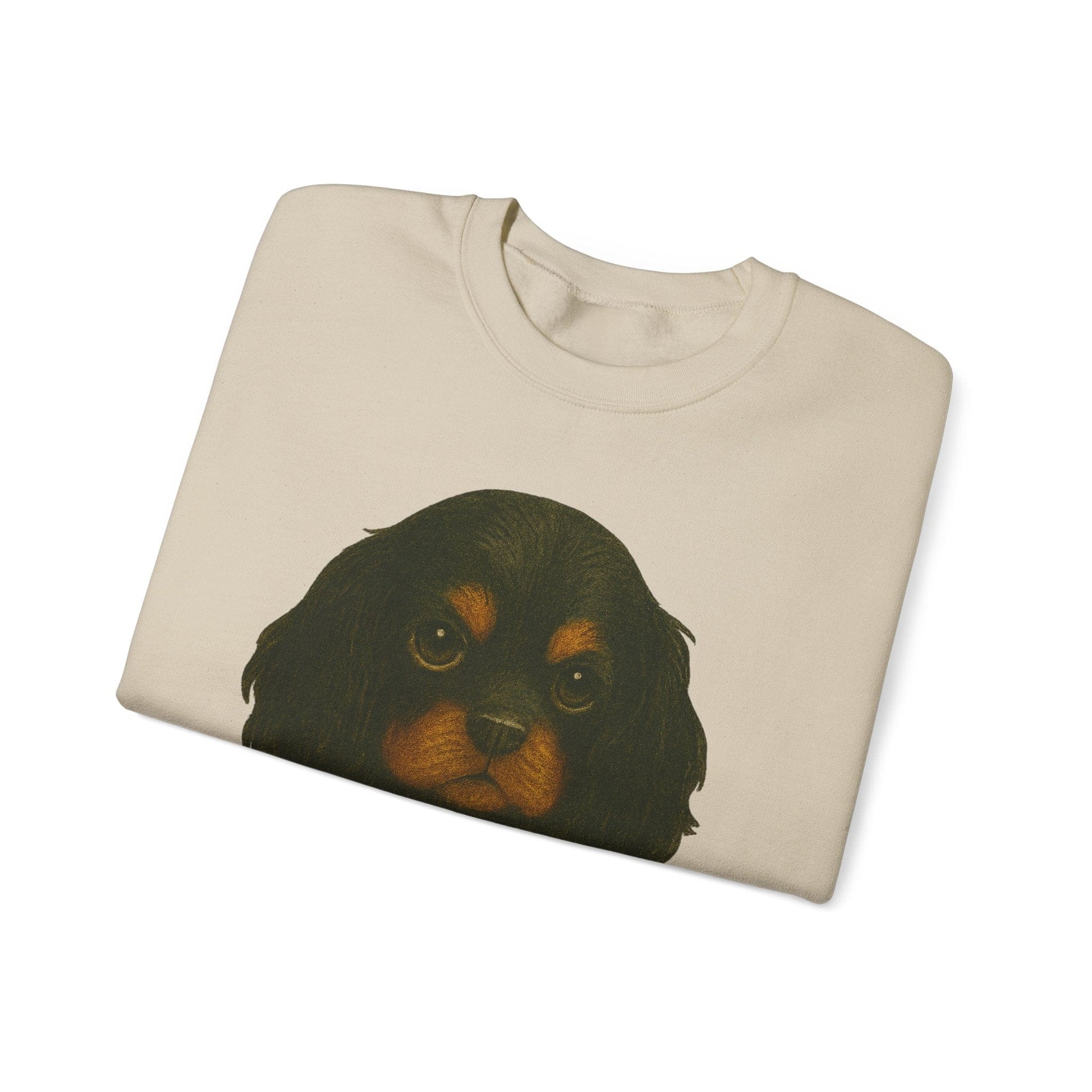 Black Tan Cavalier Dead Yet Sweatshirt