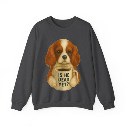 Blenheim Cavalier Dead Yet Sweatshirt