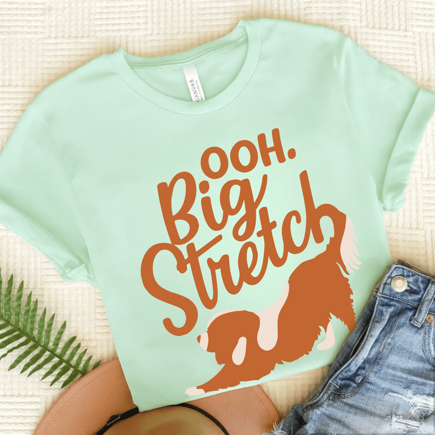 Personalized Cavalier Big Stretch TShirt Heather Mint