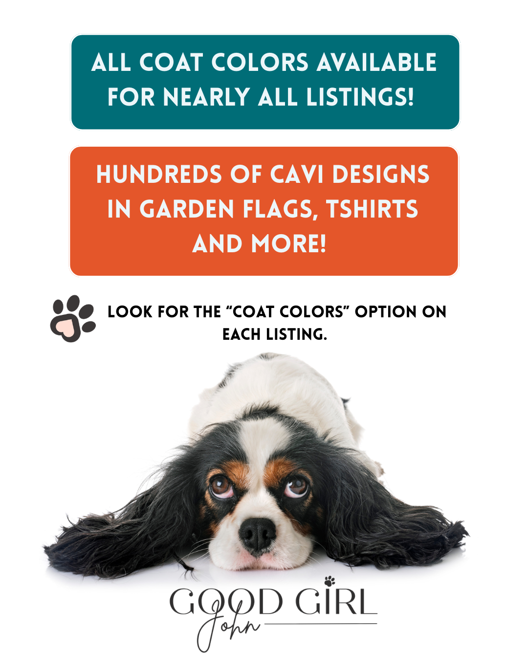 Tricolor Cavalier King Charles St Patricks Garden Flag