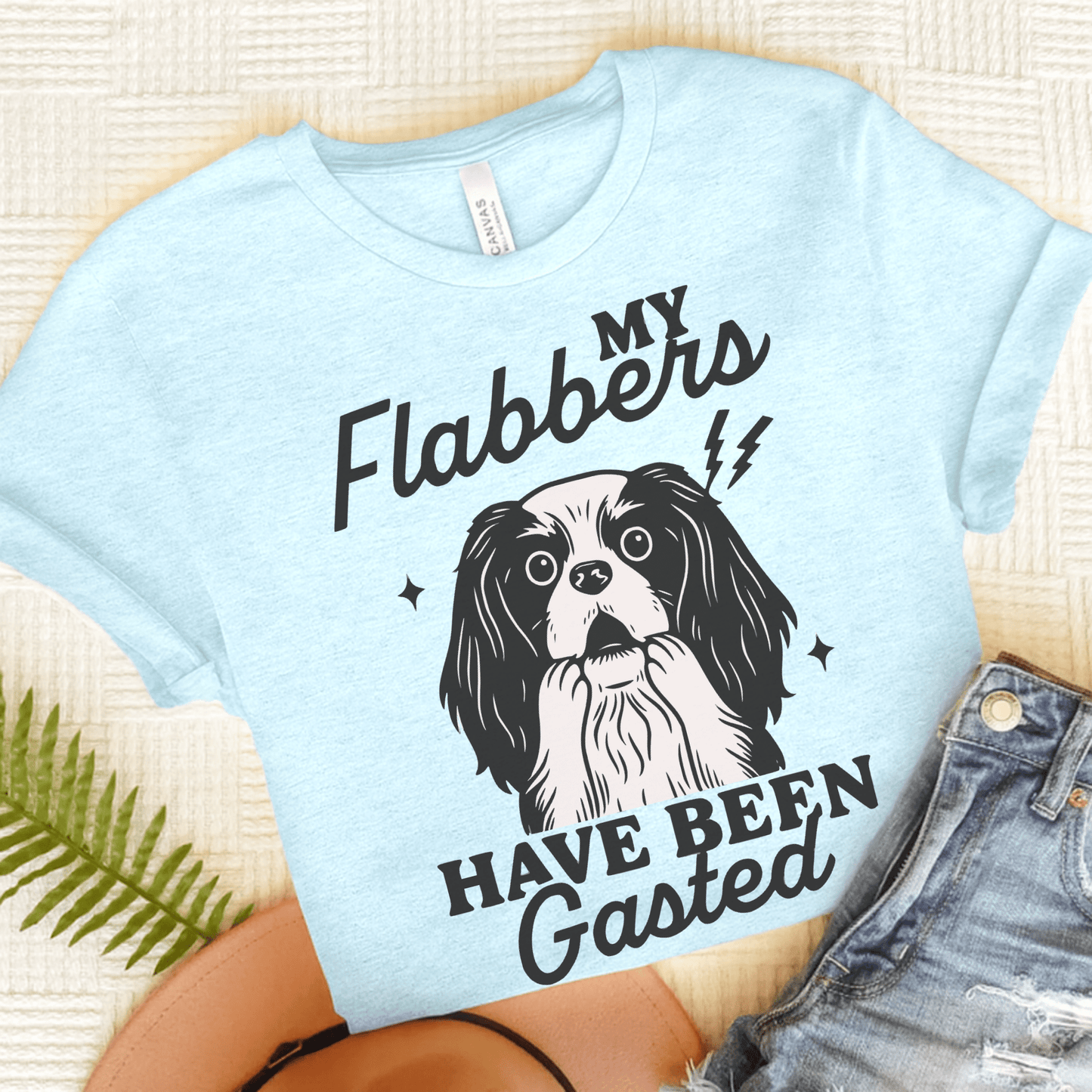Cavalier Flabbergasted Tshirt Heather Ice Blue
