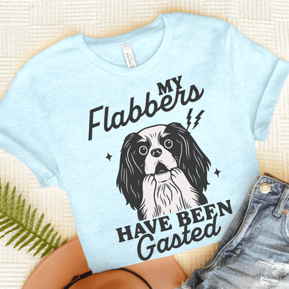 Cavalier Flabbergasted Tshirt Heather Ice Blue