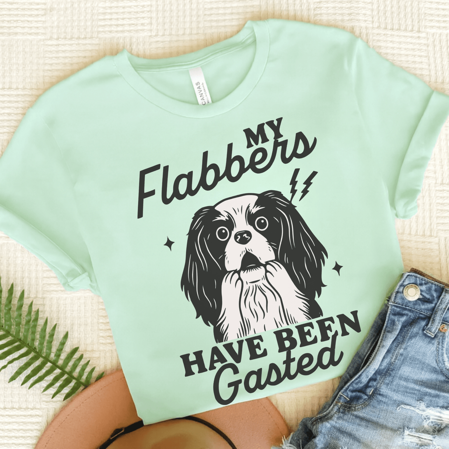 Cavalier Flabbergasted Tshirt Heather Mint