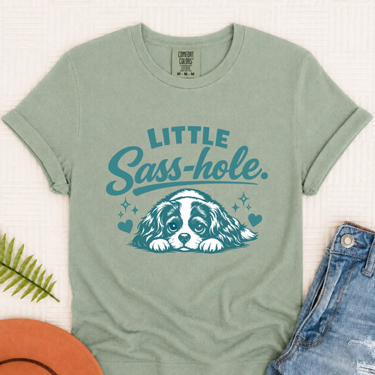 Cavalier Funny Sass Hole Unisex TShirt Bay
