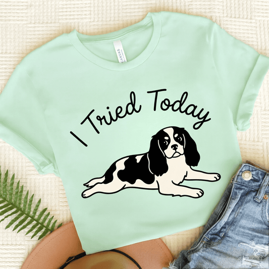 Personalized Cavalier I Tried Today Unisex Tshirt Heather Mint