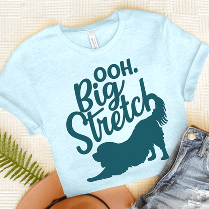 Cavalier King Charles Big Stretch Unisex TShirt Heather Ice Blue