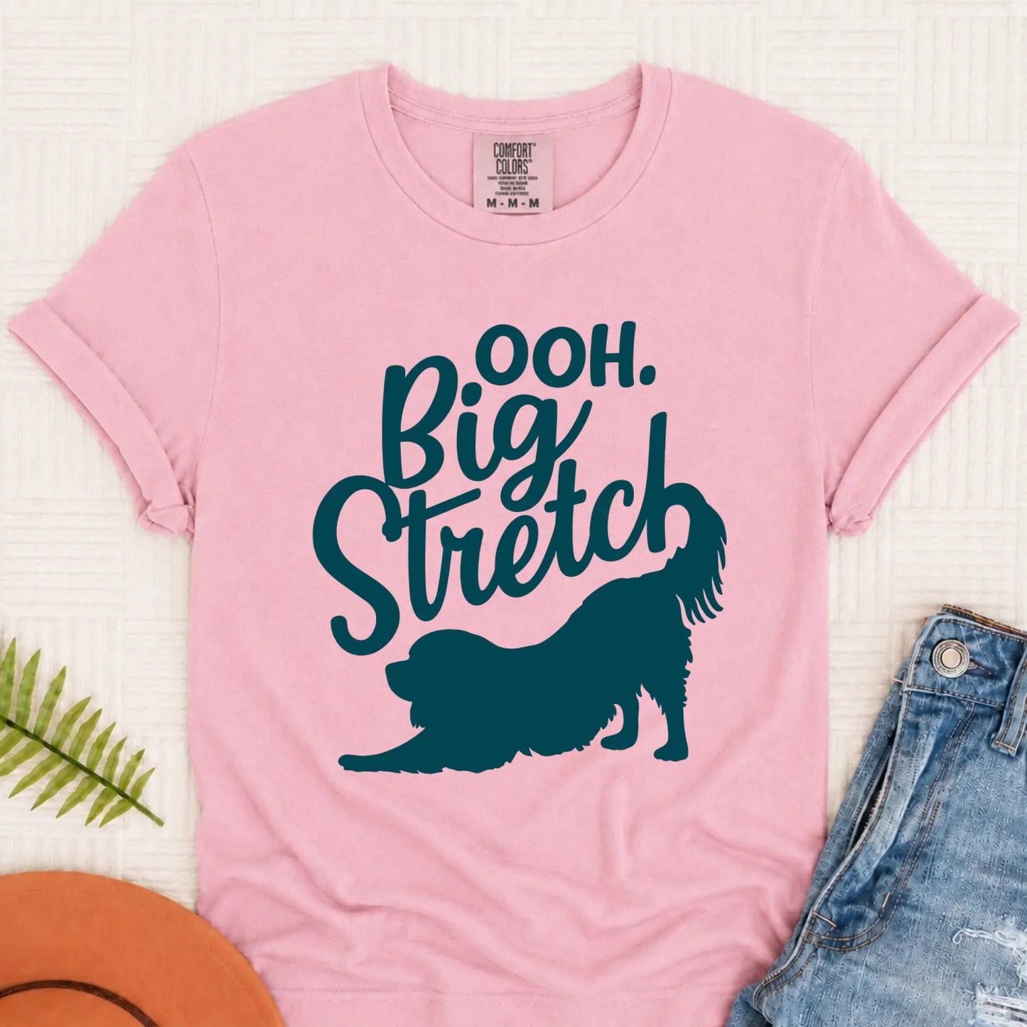 Cavalier King Charles Big Stretch Yoga Unisex TShirt Blossom