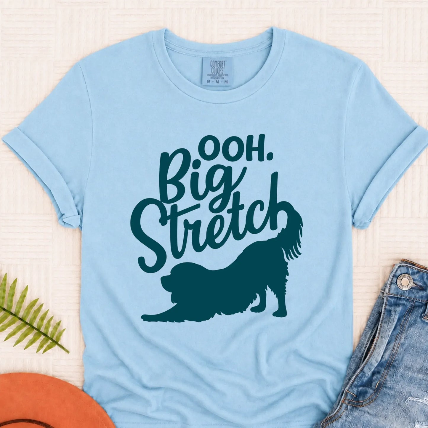 Cavalier King Charles Big Stretch Yoga Unisex TShirt Chambray