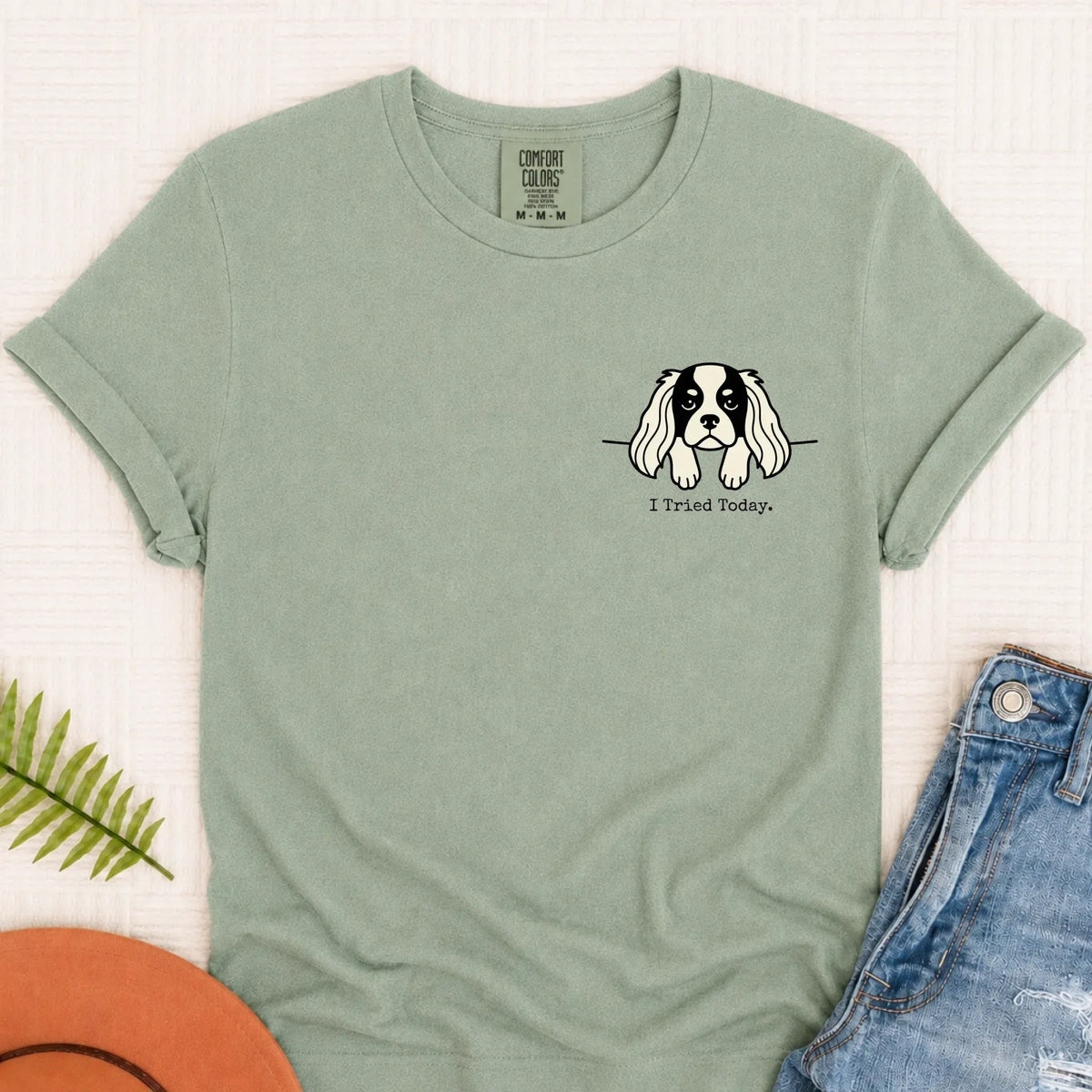 Cavalier King Charles Funny Tried Today Unisex Tshirt Bay