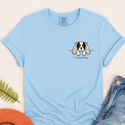 Cavalier King Charles Funny Tried Today Unisex Tshirt Chambray