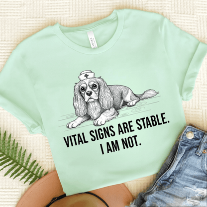 Cavalier Nurse Funny Unisex TShirt Heather Mint