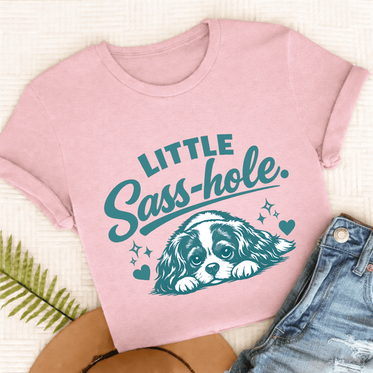 T-Shirt Comfort Colors Blossom / S Cavalier King Charles Sass Hole Unisex TShirt