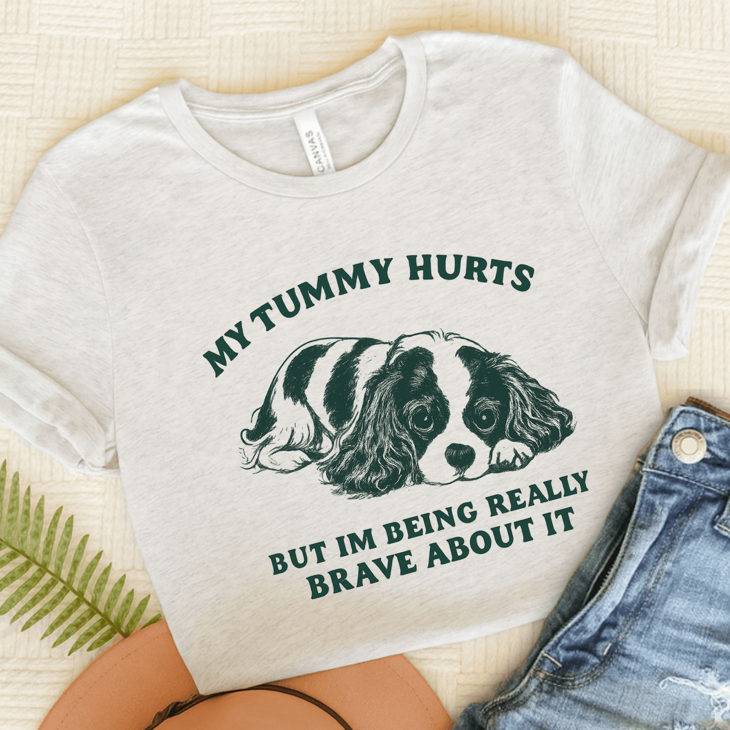 Cavalier Tummy Hurts Funny Unisex TShirt Ash