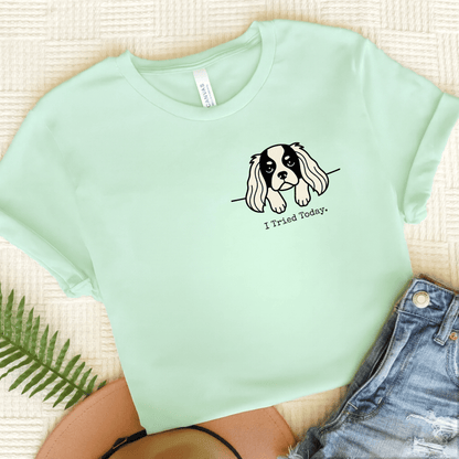Personalized Cavalier Pocket Tried Unisex Tshirt Heather Mint