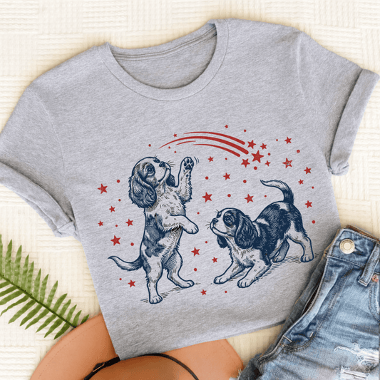 Cavalier USA Stars Unisex TShirt Sport Grey