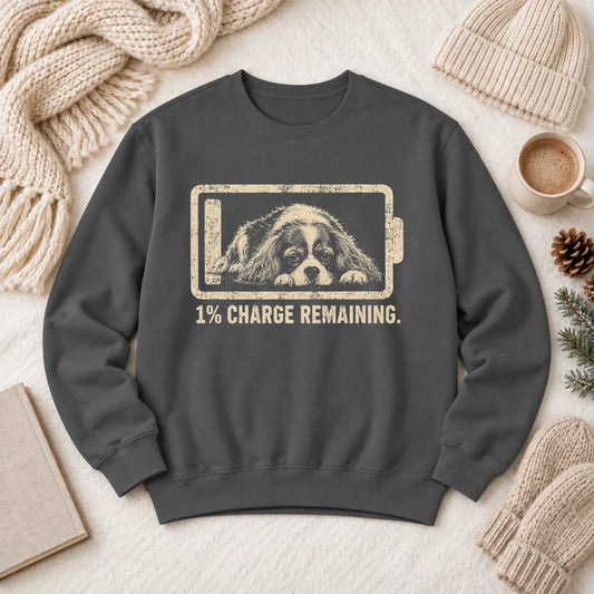 Custom Cavalier Battery Low Unisex Sweatshirt Pepper