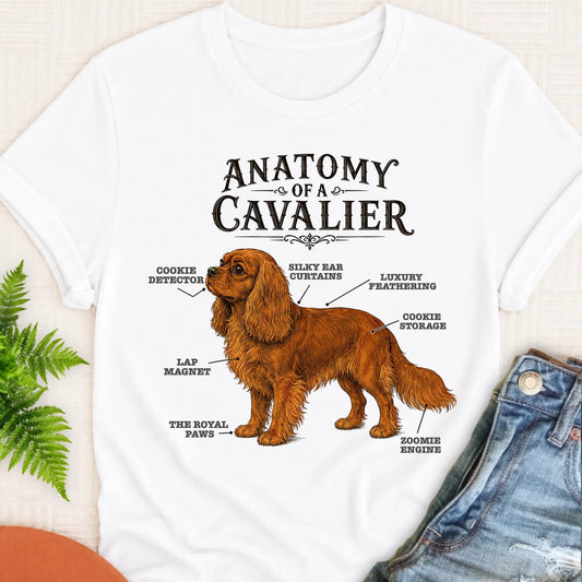 Custom Cavalier Funny Anatomy Unisex TShirt White