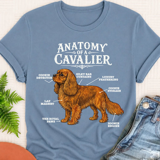 Custom Cavalier Funny Anatomy Unisex TShirt Blue Jean