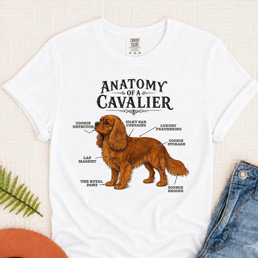 Custom Cavalier Funny Anatomy Unisex TShirt White