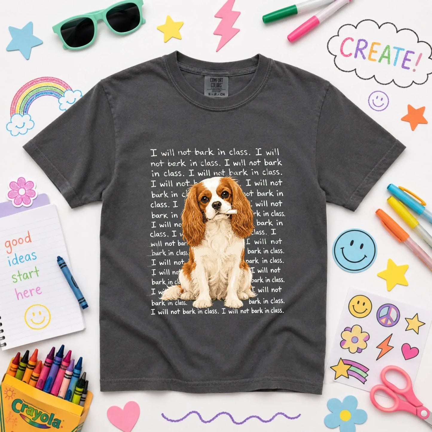 T-Shirt Pepper / XS Custom Cavalier YOUTH Teacher Will Not Bark Unisex TShirt