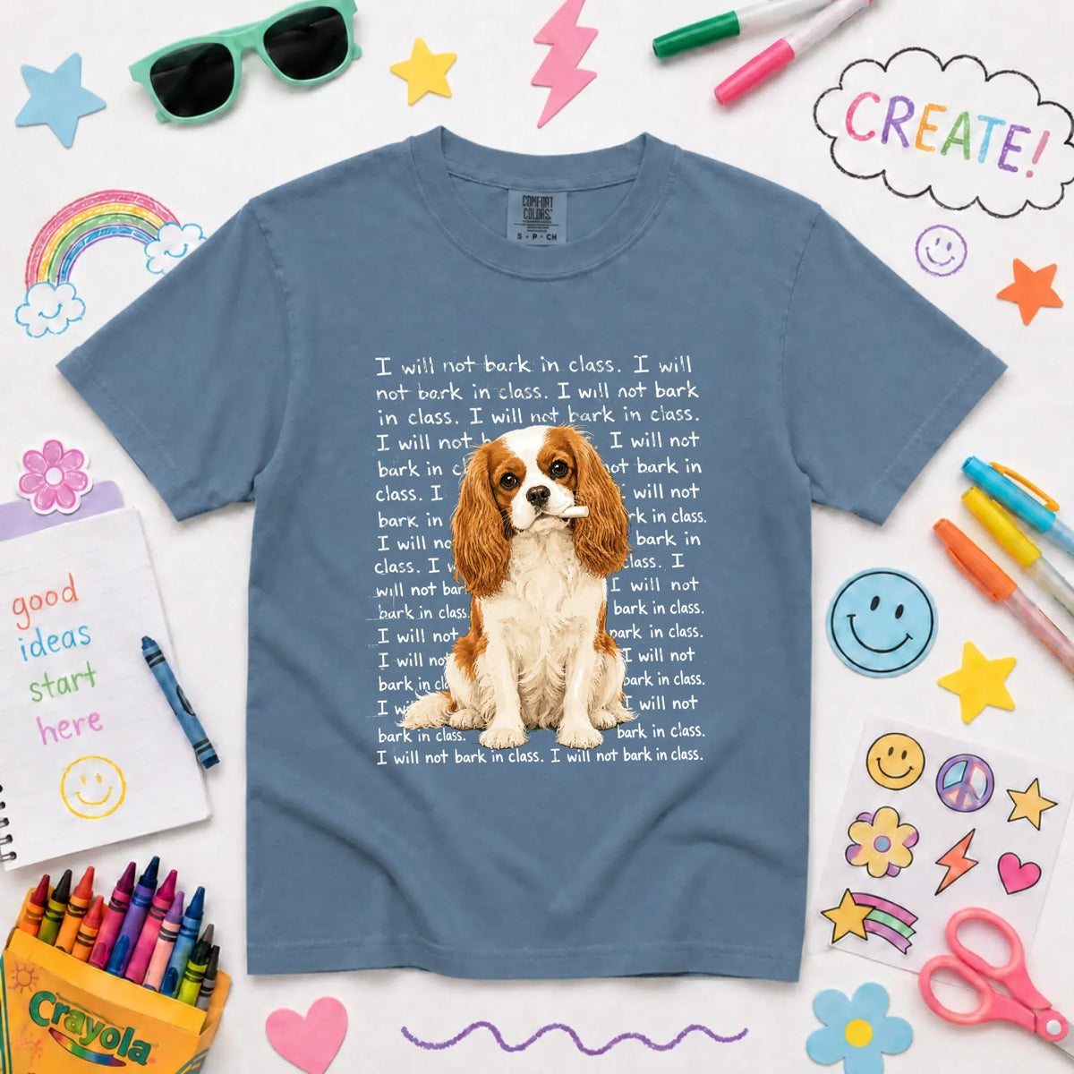 Custom Cavalier YOUTH Teacher Will Not Bark Unisex TShirt NEW Youth Midweight Tee Blue Jean