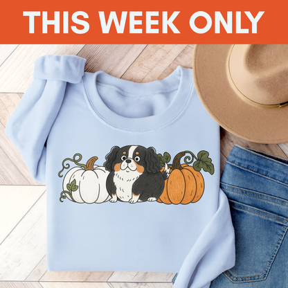 Tricolor Cavalier Pupkin Unisex Sweatshirt Light Blue