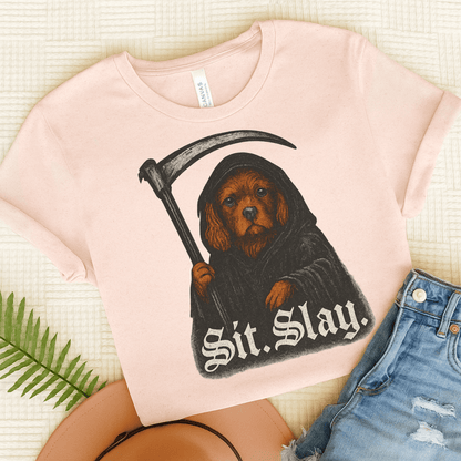 Printify T-Shirt Soft Pink / S Ruby Cavalier King Charles Treat Dealer TShirt