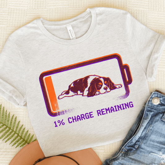 Personalized Cavalier Battery Low Unisex TShirt Ash