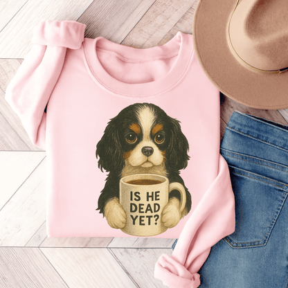 Tricolor Cavalier Dead Yet Sweatshirt Light Pink