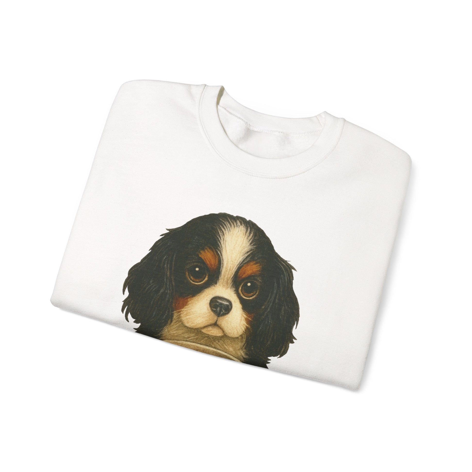 Tricolor Cavalier Dead Yet Sweatshirt