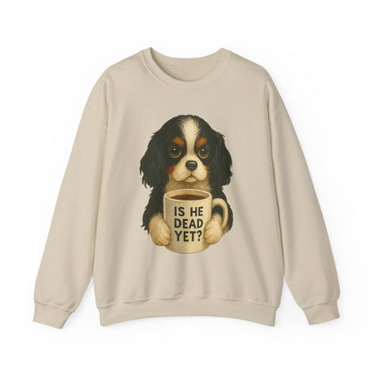Tricolor Cavalier Dead Yet Sweatshirt