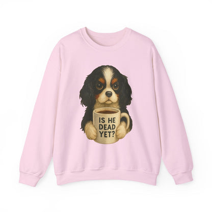 Tricolor Cavalier Dead Yet Sweatshirt