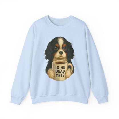 Tricolor Cavalier Dead Yet Sweatshirt