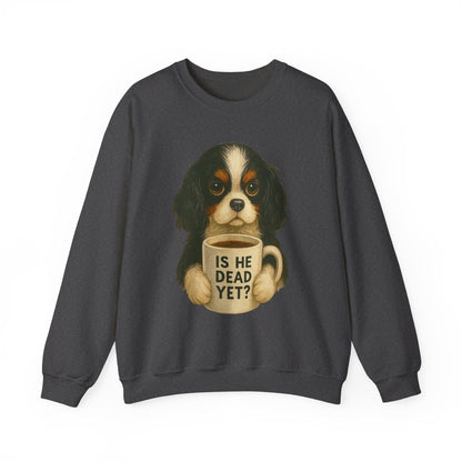 Tricolor Cavalier Dead Yet Sweatshirt