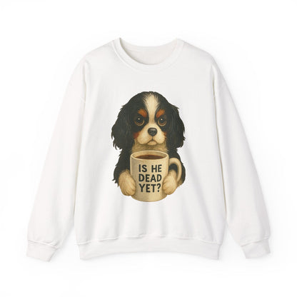 Tricolor Cavalier Dead Yet Sweatshirt