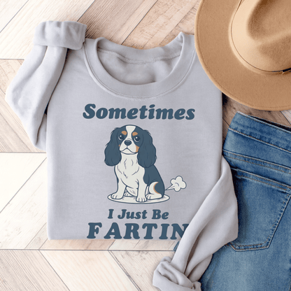 Tricolor Cavalier Fartin Sweatshirt Ash